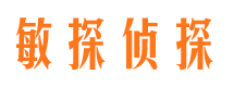 西丰市私家侦探